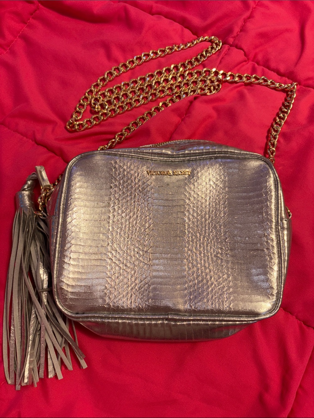 Victoria's Secret Metallic Silver Crossbody with Tassel and Gold Chain